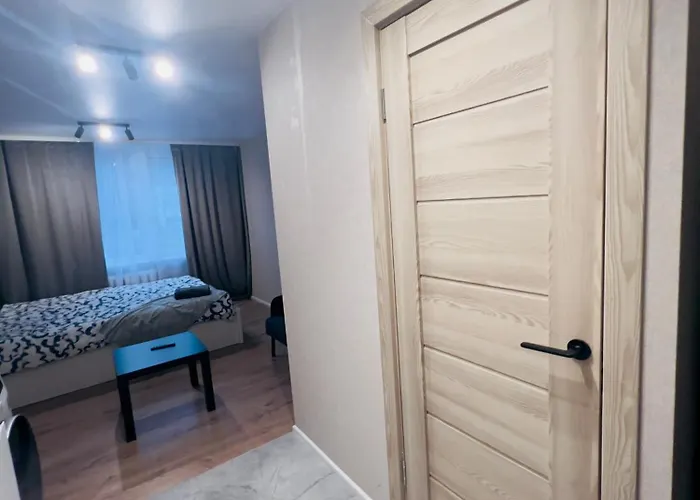 Studio Apartment * ヴィリニュス