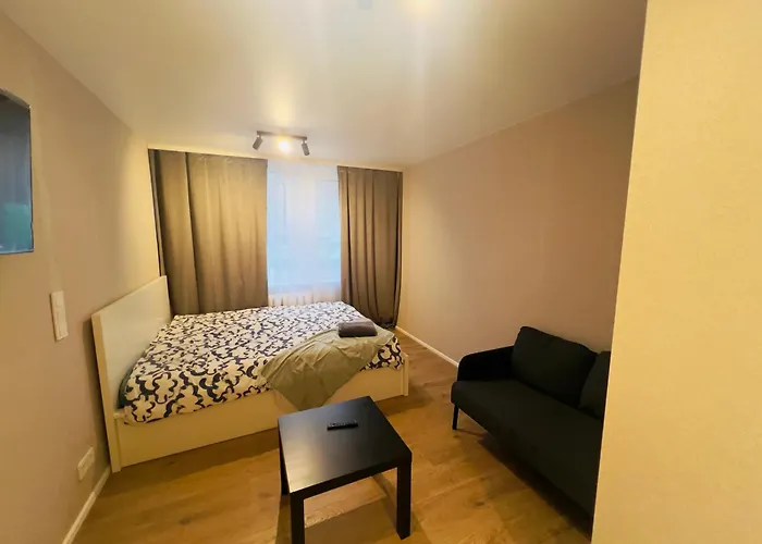 アパート Studio Apartment ヴィリニュス