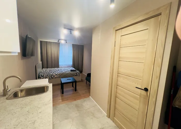 Studio Apartment Lejlighed Vilnius