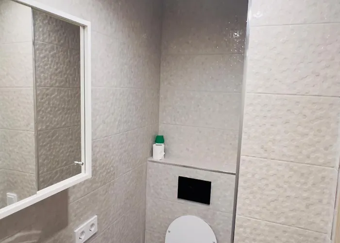 Studio Apartment Lägenhet Vilnius